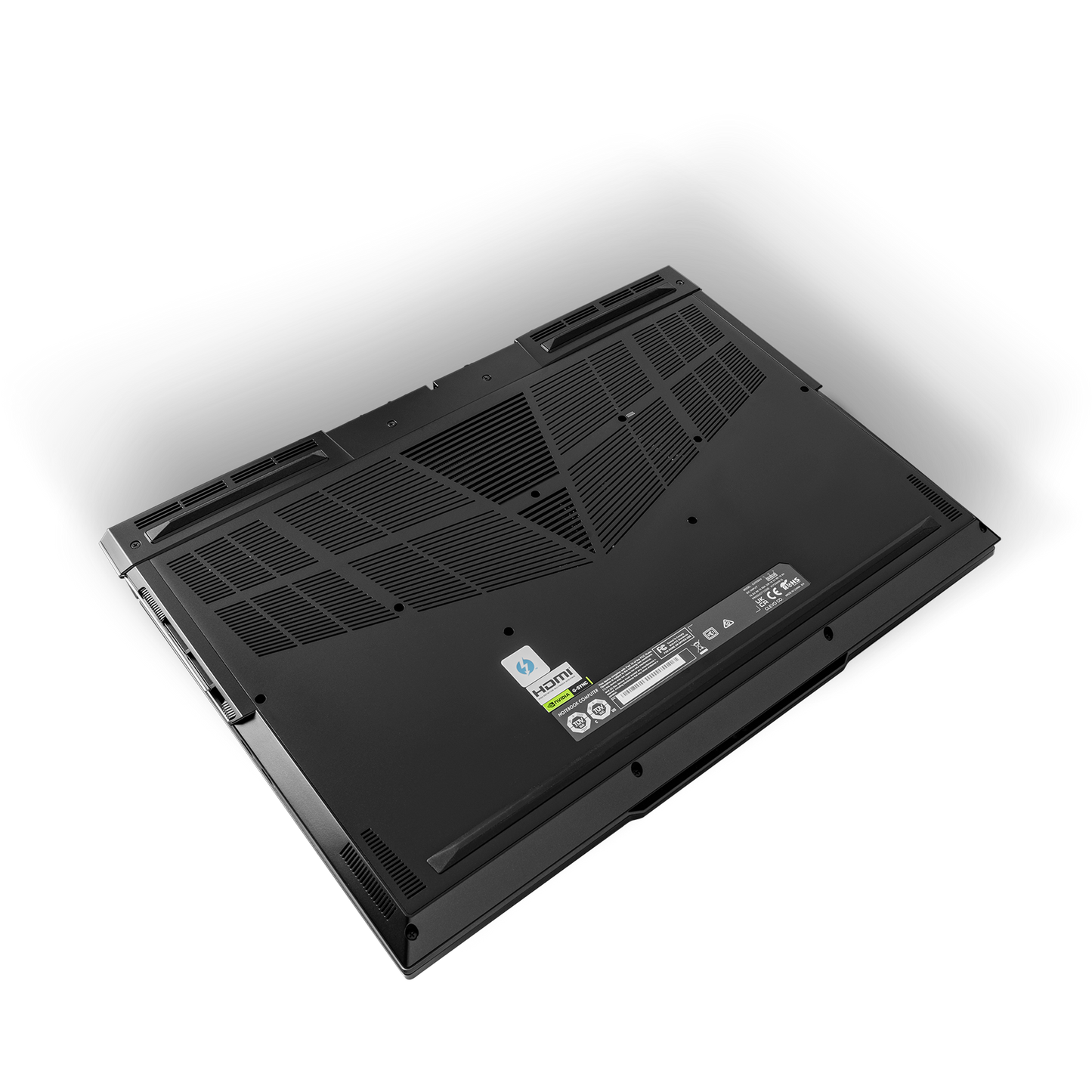 SAGER NP9373V (Clevo X370SNV1-G) Gaming Laptop