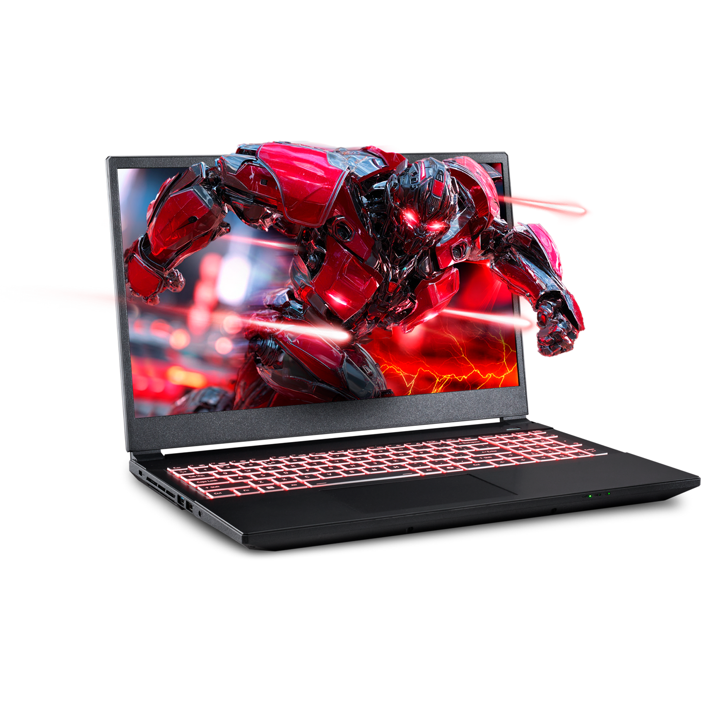 SAGER NP5251M (Clevo V255RNM) Gaming Laptop