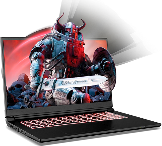 SAGER NP6271J (CLEVO NP70RNJS) Gaming Laptop