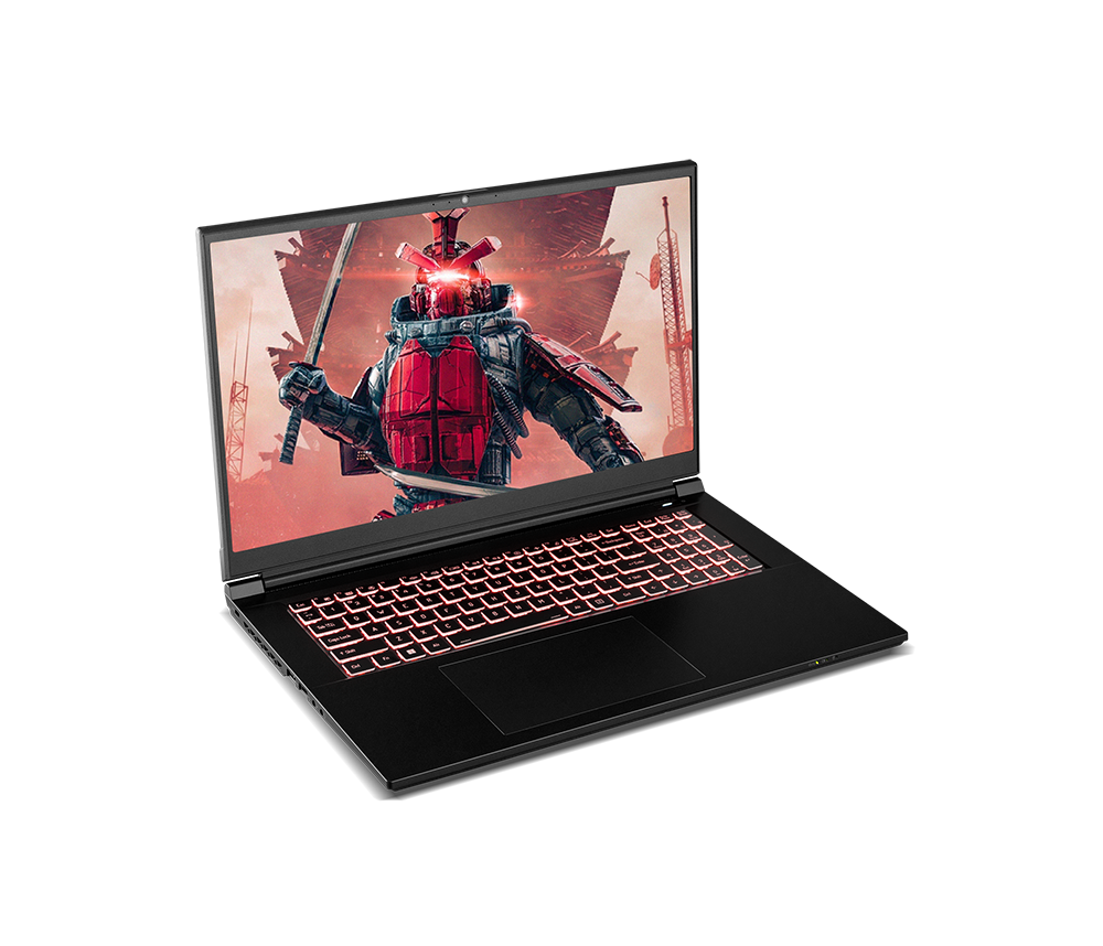 SAGER NP6271J (CLEVO NP70RNJS) Gaming Laptop