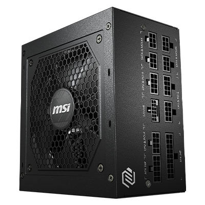 MSI MPG 750W GOLD - Default | NFS