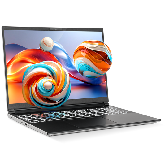 SAGER NP3561U (Clevo V560TU) Laptop