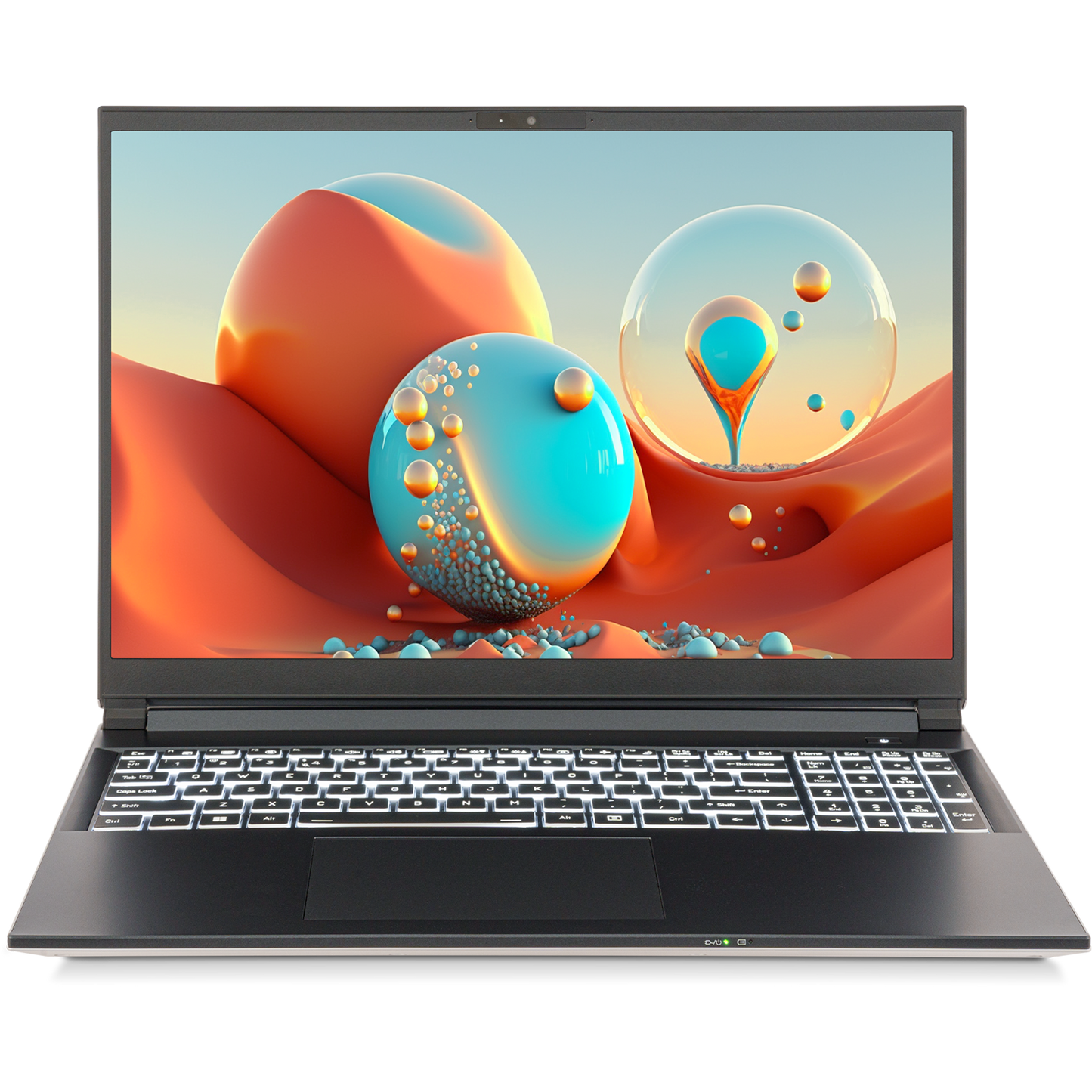SAGER NP3561U (Clevo V560TU) Laptop