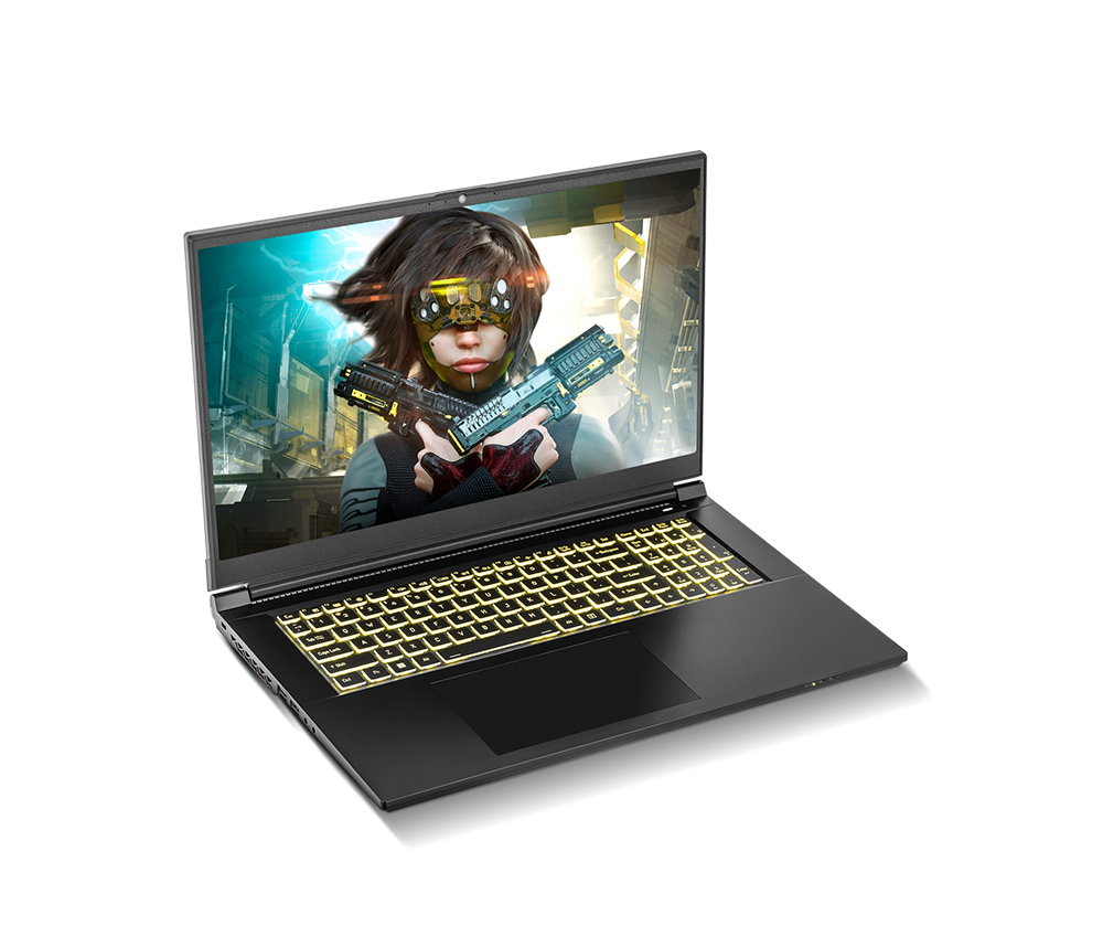SAGER NP7882C (Clevo NP70SNC) Gaming Laptop
