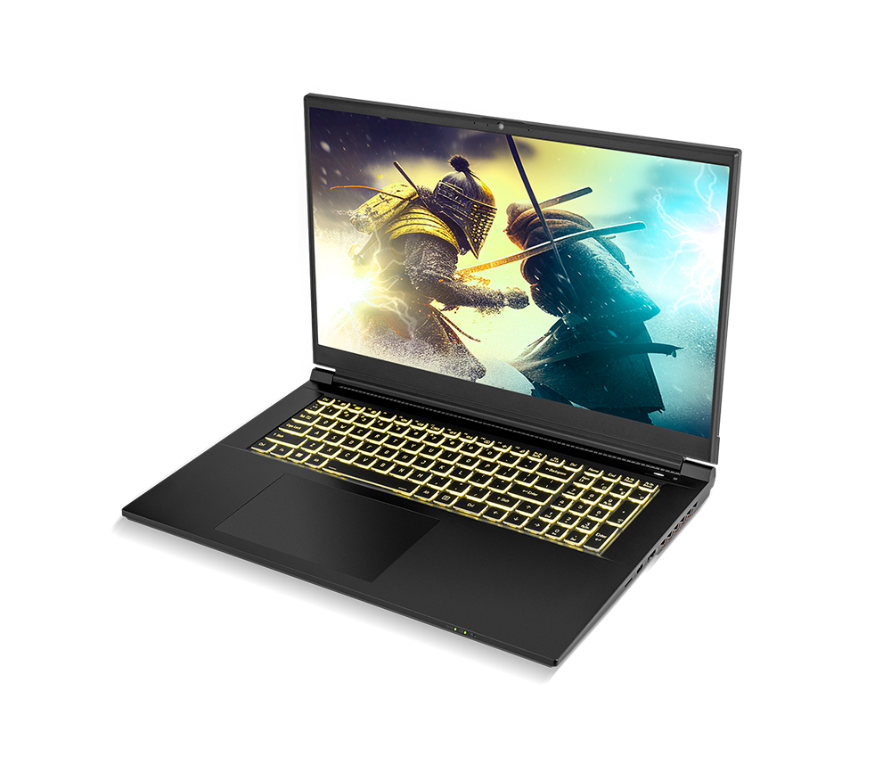SAGER NP7882C (Clevo NP70SNC) Gaming Laptop