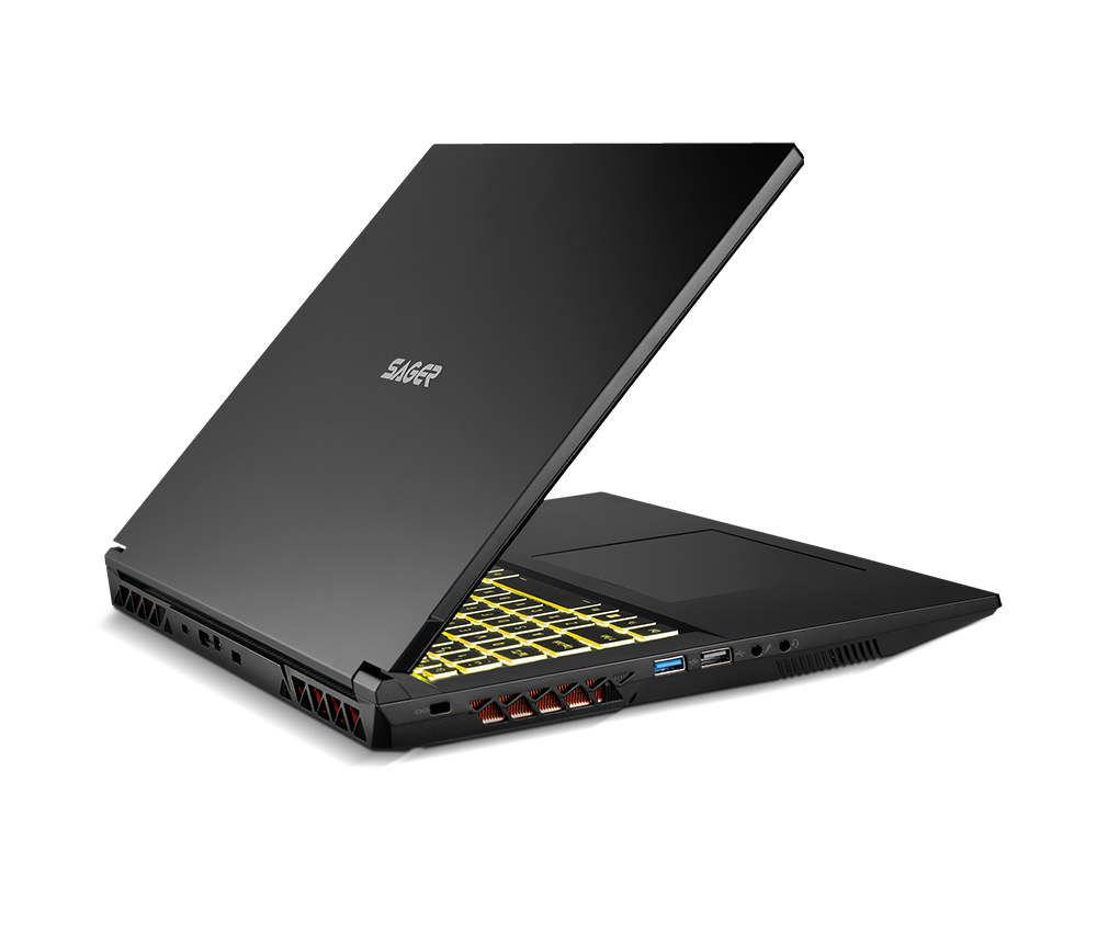 SAGER NP7882C (Clevo NP70SNC) Gaming Laptop