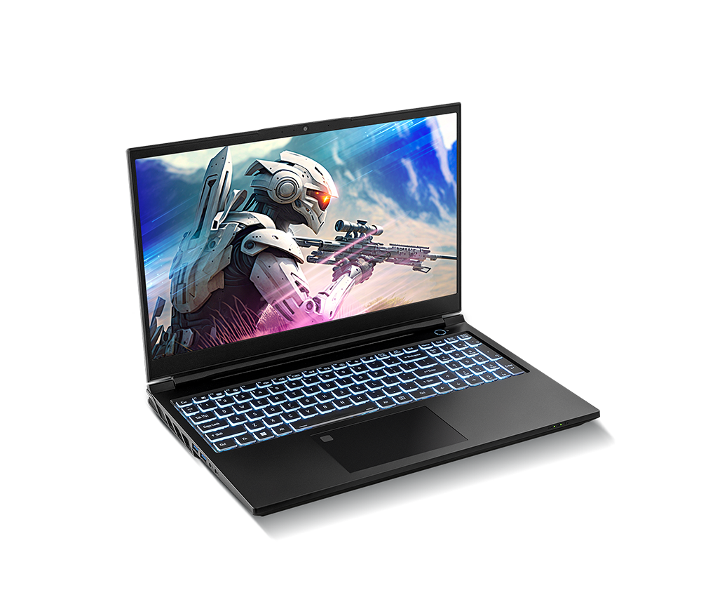 SAGER NP8856E (Clevo PD50SNE-G) Gaming Laptop