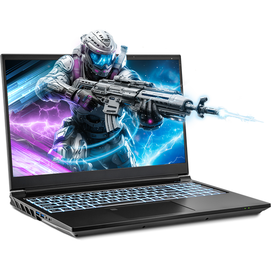 SAGER NP8856E (Clevo PD50SNE-G) Gaming Laptop