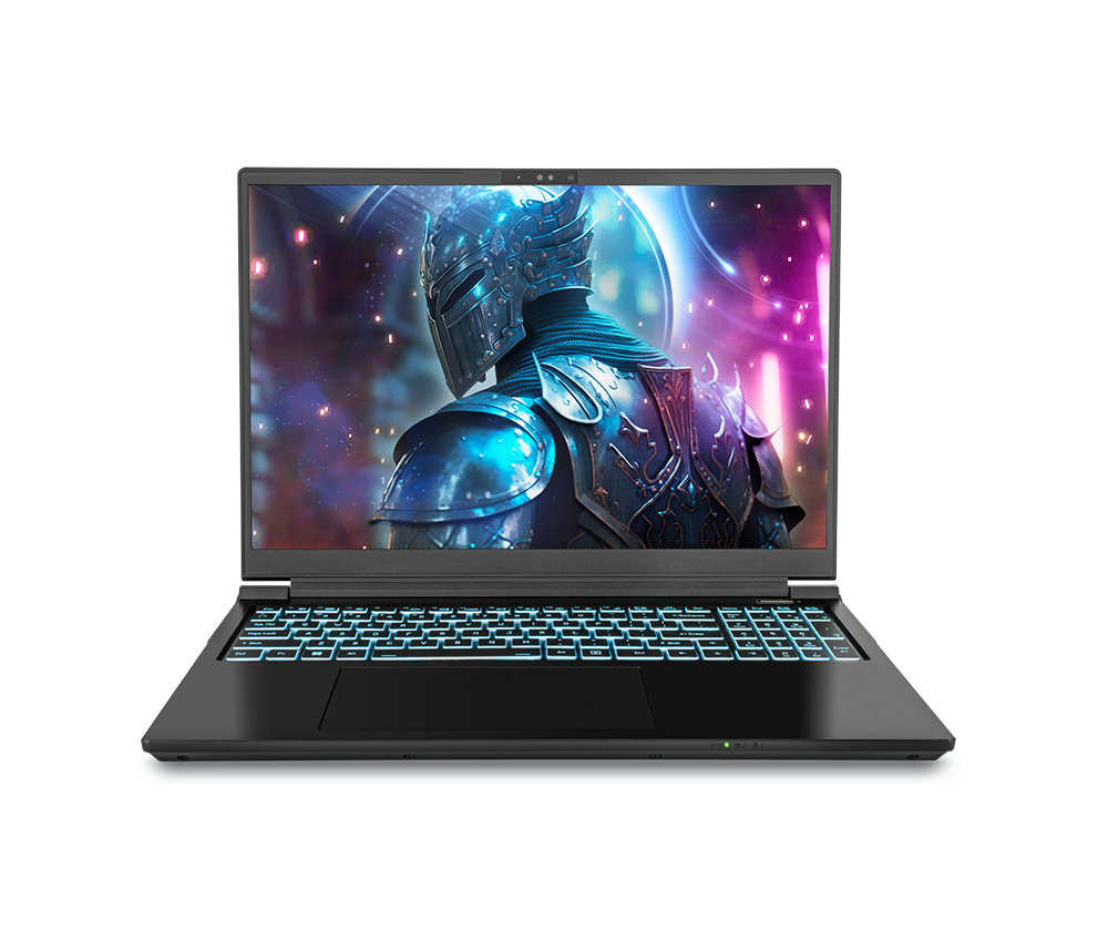 SAGER NP8866E (Clevo PE60SNE-G) Gaming Laptop