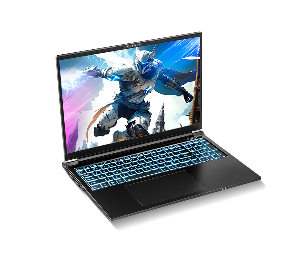 SAGER NP8866E (Clevo PE60SNE-G) Gaming Laptop