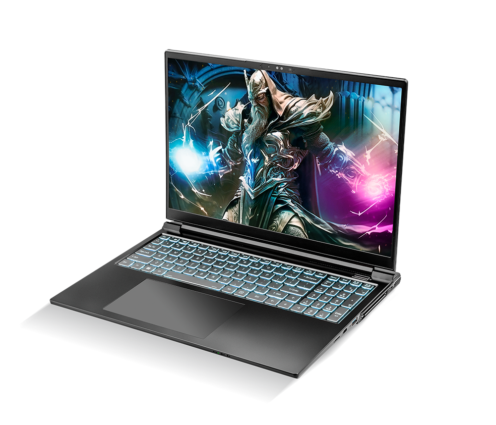 SAGER NP8866E (Clevo PE60SNE-G) Gaming Laptop