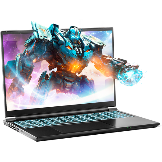 SAGER NP8866E (Clevo PE60SNE-G) Gaming Laptop