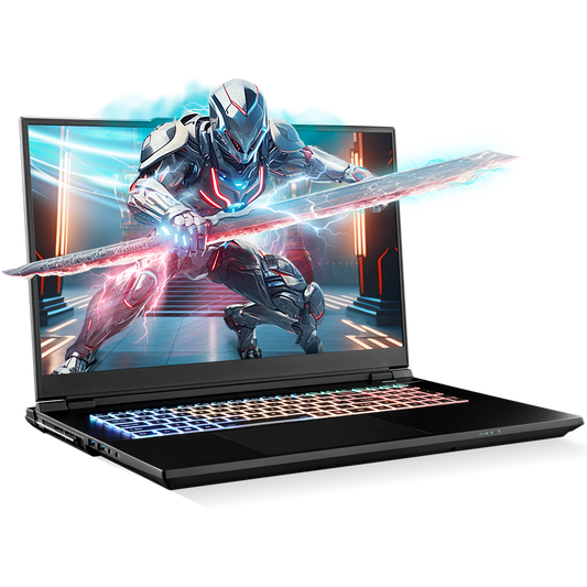 SAGER NP9373V (Clevo X370SNV1-G) Gaming Laptop