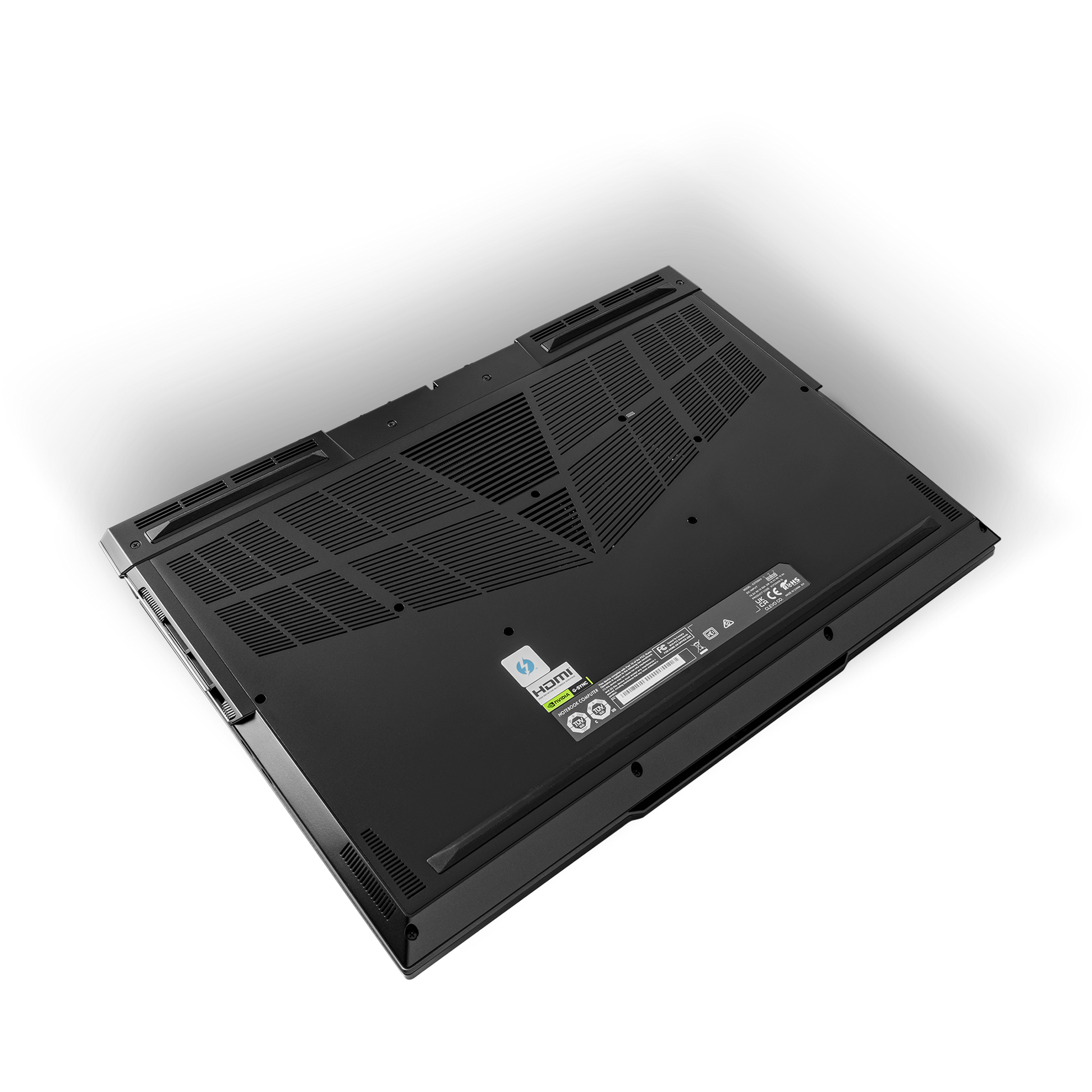 SAGER NP9373V (Clevo X370SNV1-G) Gaming Laptop