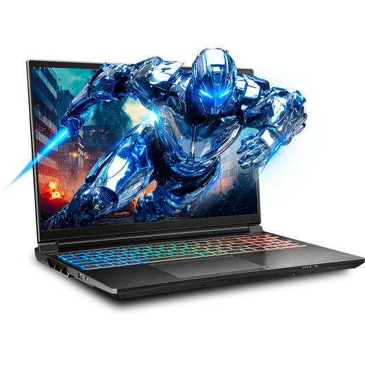 SAGER NP9560R (Clevo X560WNR-G) Gaming Laptop