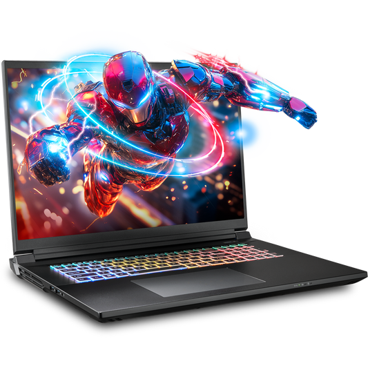 SAGER NP9580T (Clevo X580WNT-G) Gaming Laptop