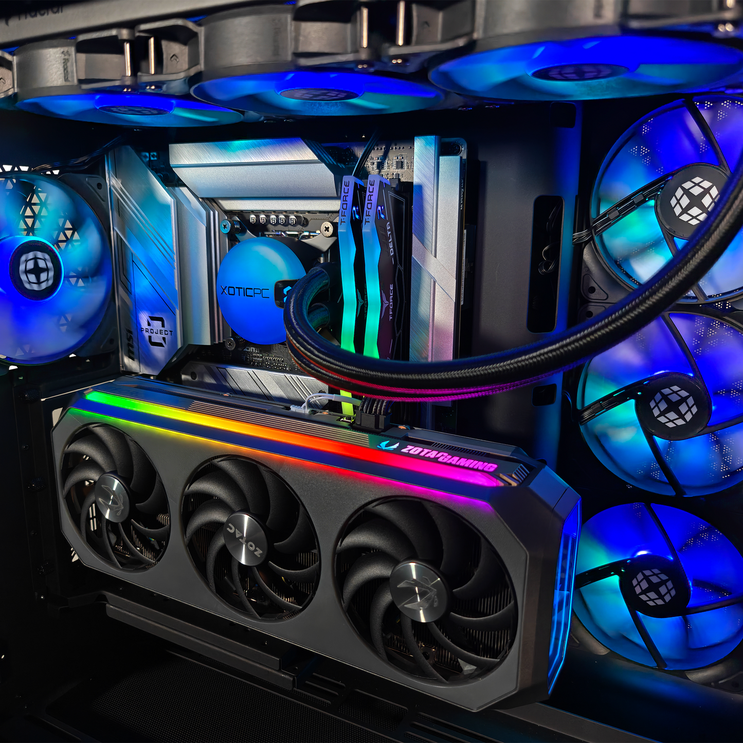 Project Zero Maestro Ultimate Ready to Ship