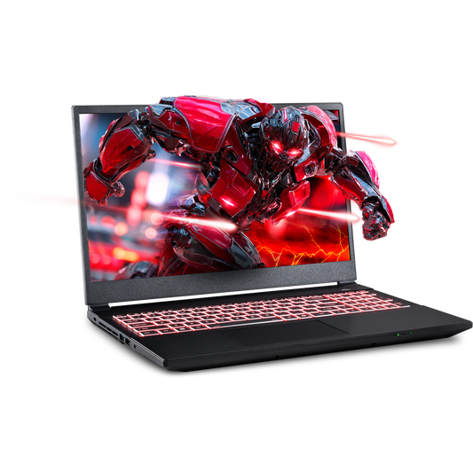 SAGER NP5251M (Clevo V255RNM) Gaming Laptop
