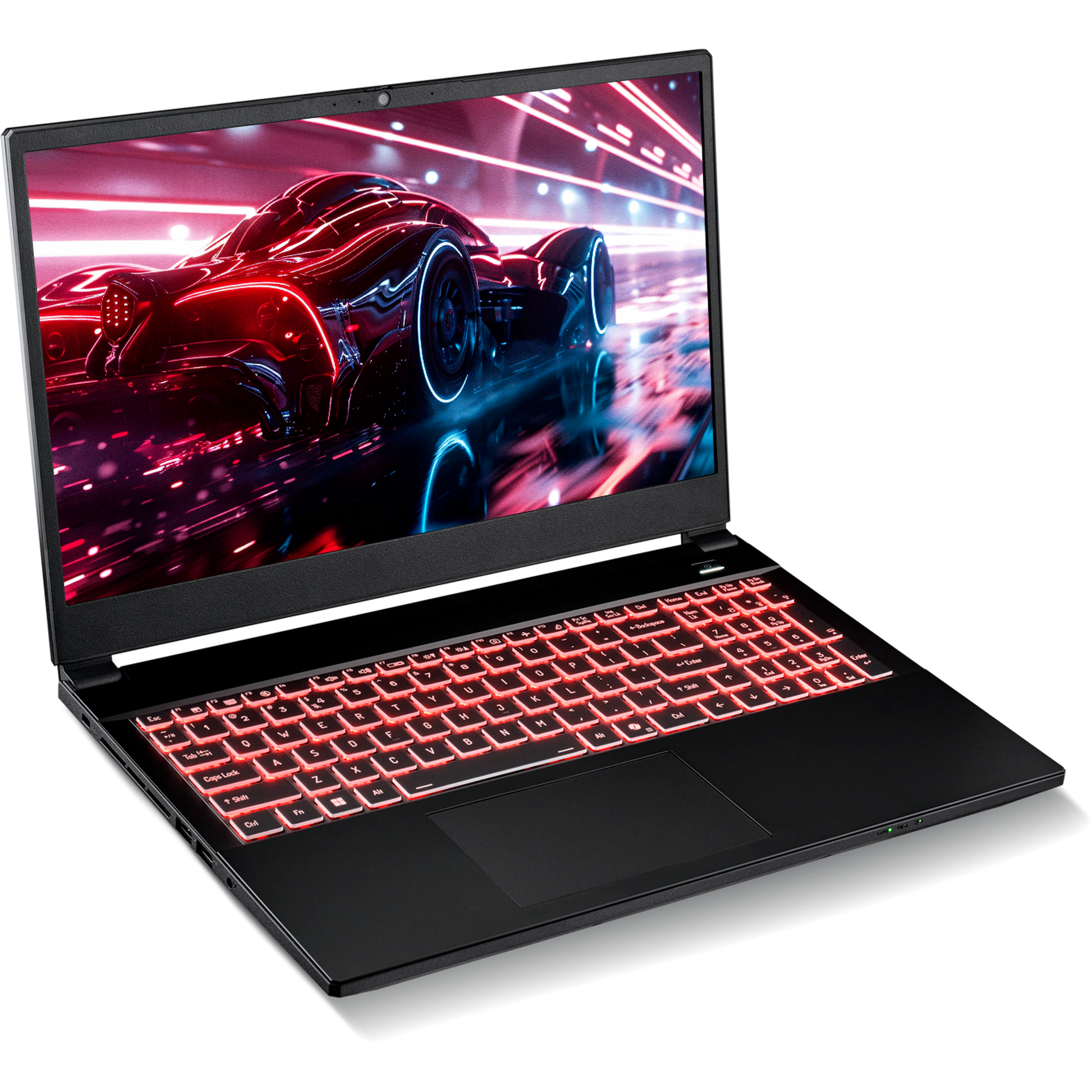 SAGER NP5251M (Clevo V255RNM) Gaming Laptop