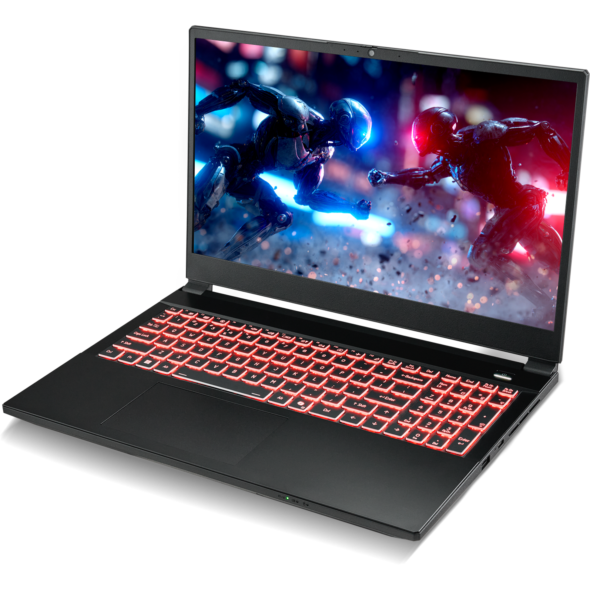 SAGER NP5251M (Clevo V255RNM) Gaming Laptop