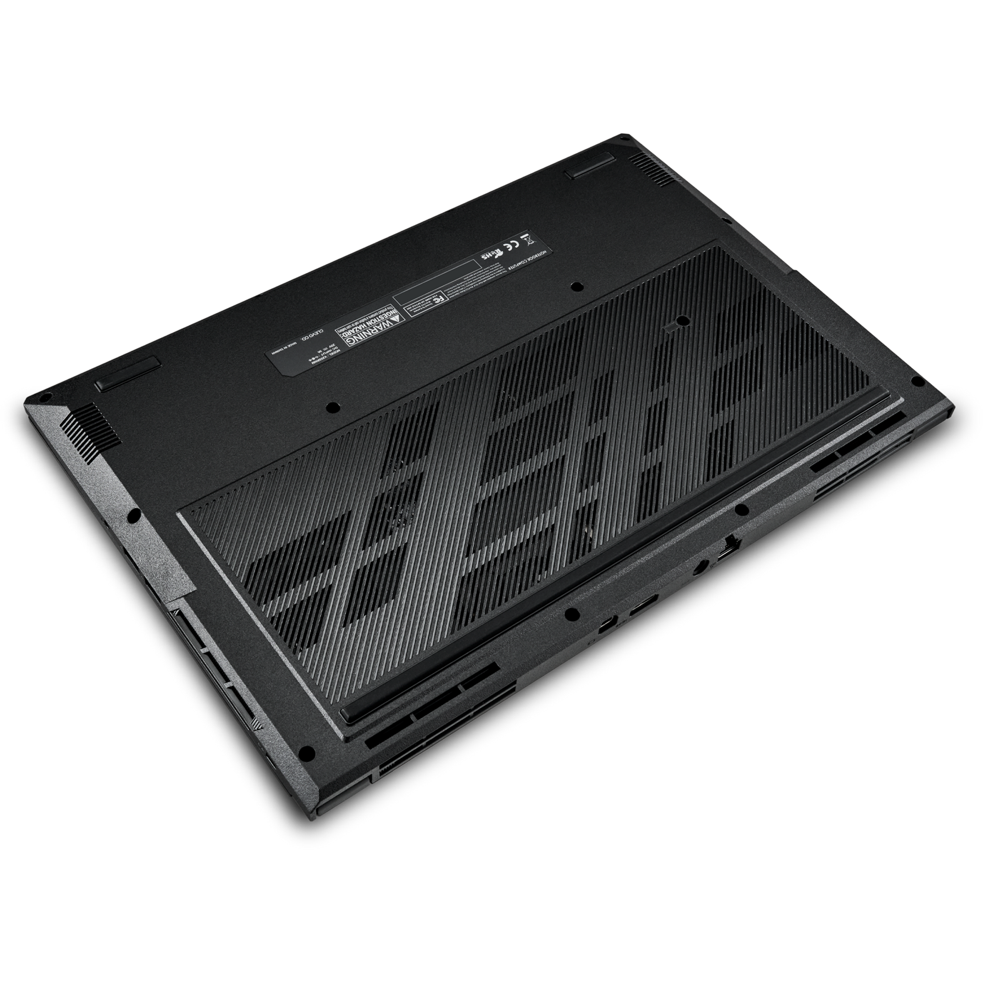 SAGER NP5251M (Clevo V255RNM) Gaming Laptop