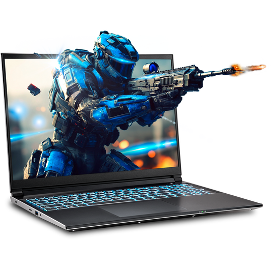 SAGER NP6560P (Clevo V560KNP) Gaming Laptop