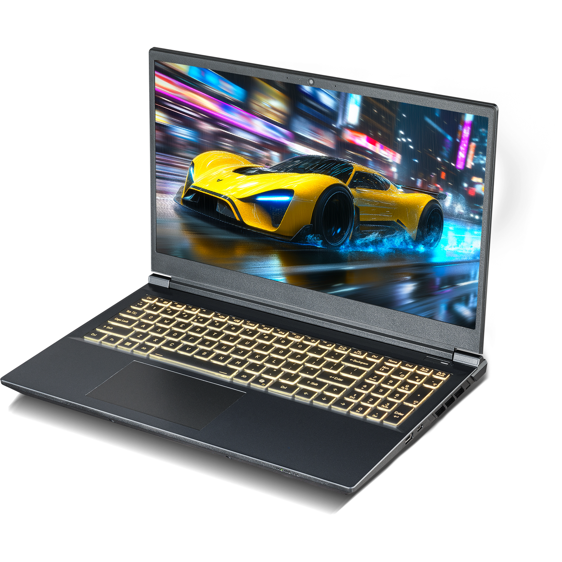 SAGER NP7551M (Clevo V350WNMQ) Gaming Laptop