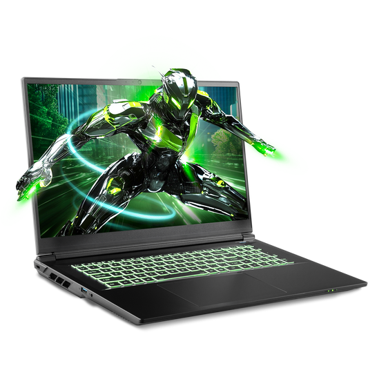 SAGER NP7571N (Clevo V370WNNQ) Gaming Laptop